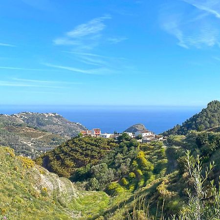 Villa Francisca Málaga Eksteriør billede