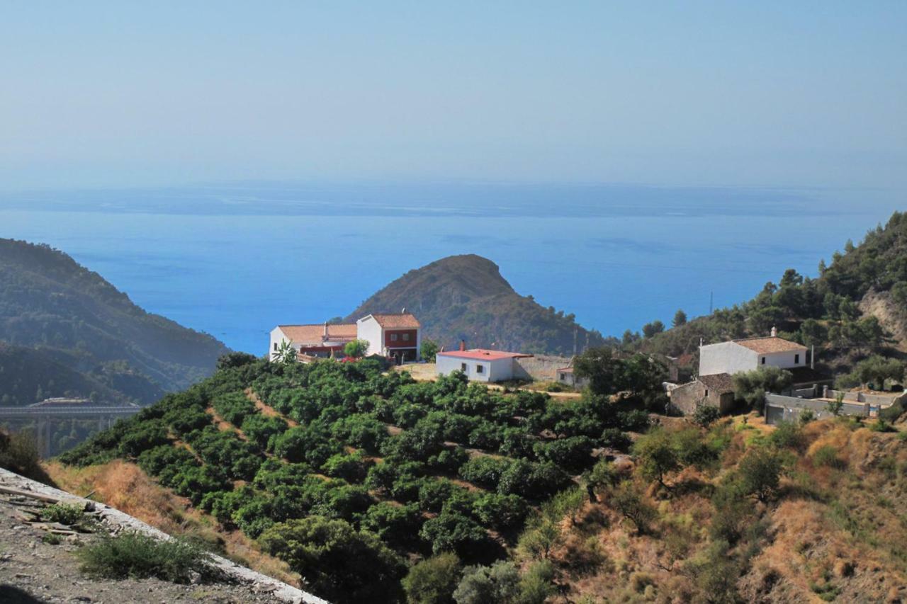 Villa Francisca Málaga Eksteriør billede