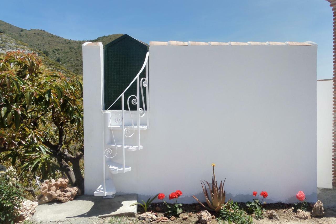 Villa Francisca Málaga Eksteriør billede